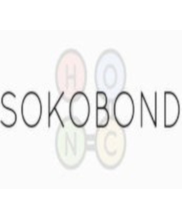 Sokobond Steam Key GLOBAL